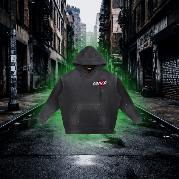 Black hoodie with a small chest graphic design on an urban street background Coiled Snake Graphic Hoodie – Premium Streetwear Animal Design Hoodie